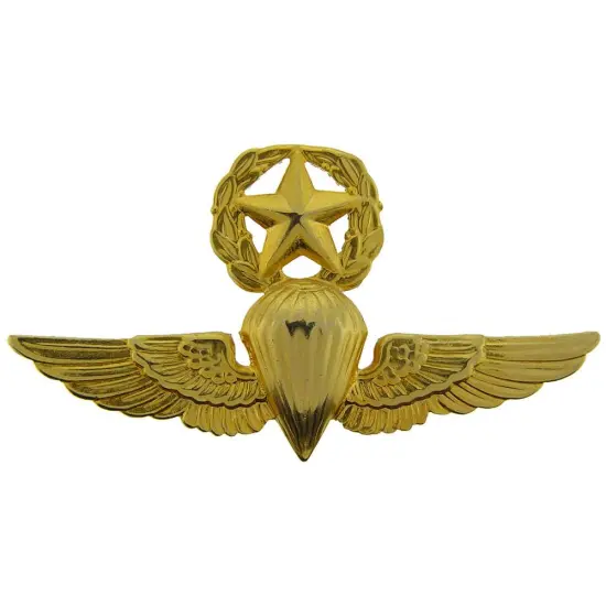 EagleEmblems P16319 Wing-USN/USMC,para,Master (GLD) (2.75'') {1}