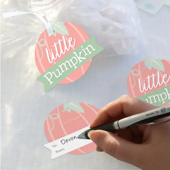 Big Dot of Happiness Girl Little Pumpkin - Fall Birthday Party or Baby Shower Clear Goodie Favor Bags - Treat Bags With Tags - Set of 12 {4}