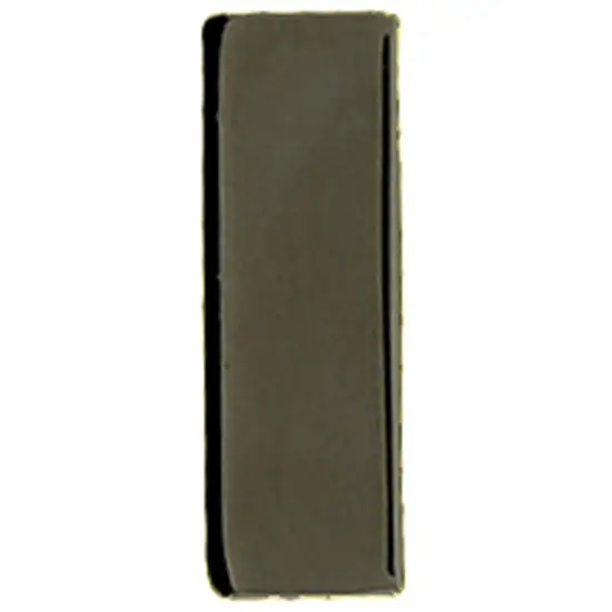 1st/2nd Lieutenant Rank Insignia Subdued Pin {1}