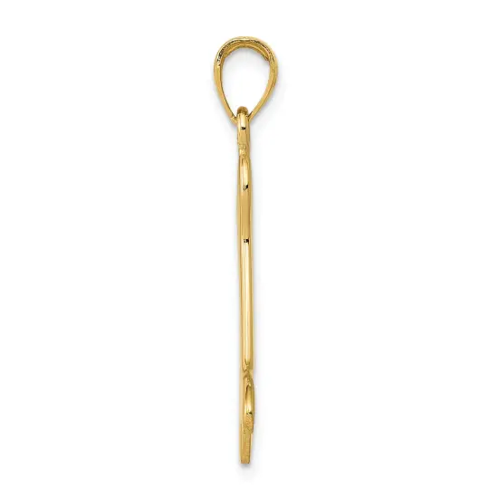 14K Yellow Gold Dog Bone Charm Polished Pendant Jewelry 34mm 34mm x 19mm {3}