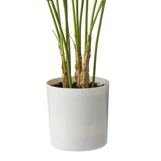 30" Artificial Palm Tree in White Pot (Set of 2) {4}