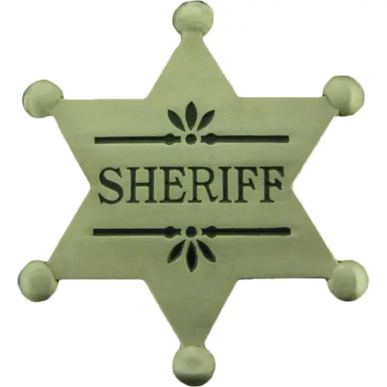 Sherriff Badge Pin 2 1/2" {1}