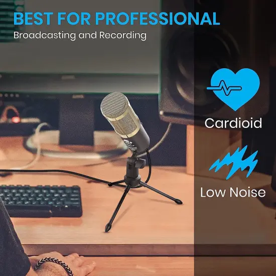 IDANCE RECORD STUDIO MIC 1 {4}