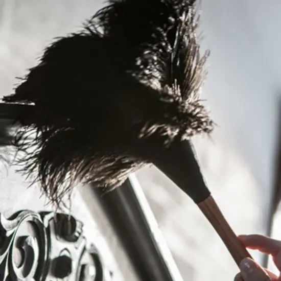 Wool Shop Delicate Light Ostrich Feather Cleaning Duster Brown 13 inch {3}