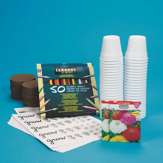 Zinnia Flower Gardens (Pack of 48) {3}