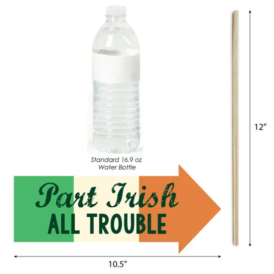 Big Dot of Happiness Funny St. Patrick's Day - Saint Paddy's Day Photo Booth Props Kit - 10 Piece {6}