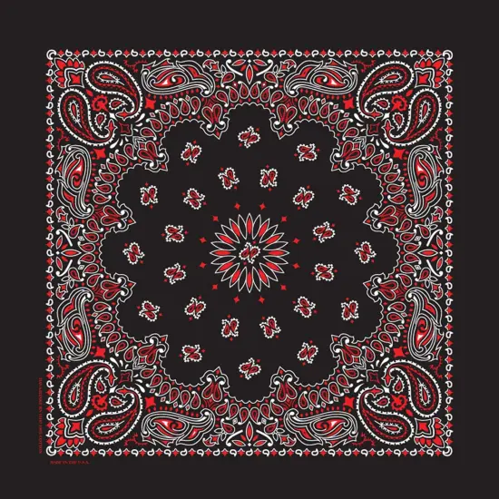 Carolina Hav-A-Hank Paisley Bandanna 22"X22"-Black, Red & White {2}