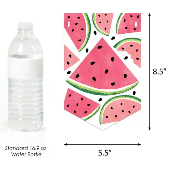 Big Dot of Happiness Sweet Watermelon - Fruit Party Bunting Banner - Party Decorations - One In A Melon So Sweet {3}