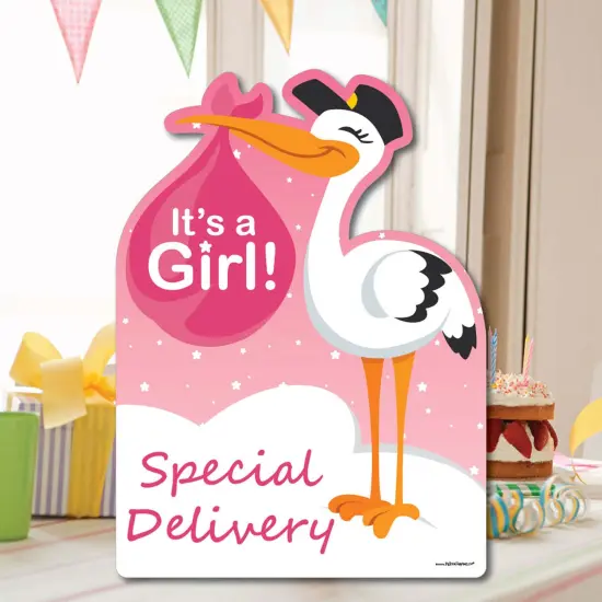 Big Dot of Happiness Girl Special Delivery - Baby Shower Decorations - Pink It's A Girl Stork Baby Announcement & Welcome Yard Sign {7}