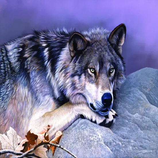 Sunsout Time Out 1000 pc Jigsaw Puzzle 68074 {1}