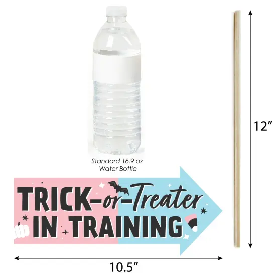 Big Dot of Happiness Funny Boo-y or Ghoul - Halloween Gender Reveal Party Photo Booth Props Kit - 10 Piece {4}