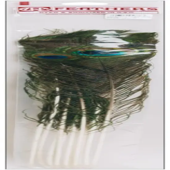 Zucker Peacock Eye Feathers 12/Pkg-Natural {1}