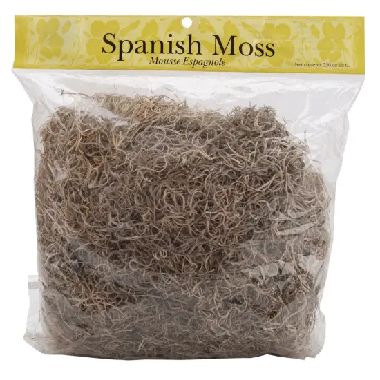 Panacea Spanish Moss 8oz-Natural {1}