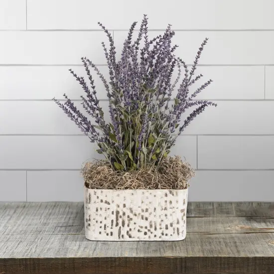 Floracraft Spanish Moss 8oz-Natural {2}