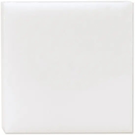 FloraCraft CraftFoM Block-1.25"x9.9"x11.9" {2}