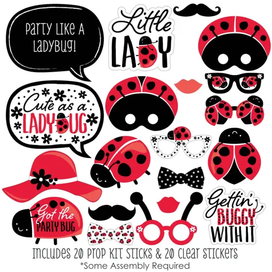 Big Dot of Happiness Happy Little Ladybug - Baby Shower or Birthday Party Photo Booth Props Kit - 20 Count {3}