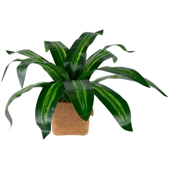 Northlight Artificial Dracaena Plant in Square Rattan Pattern Ceramic Pot - 27" Green {4}