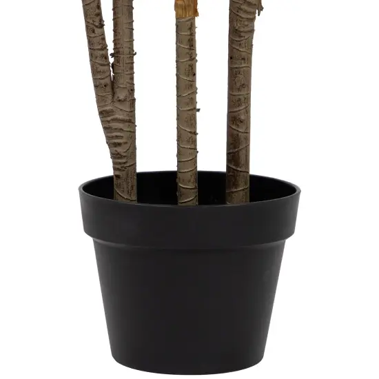 Northlight Real Touch&trade;️ Green and Red Artificial Dracaena Potted Plant - 54" {5}