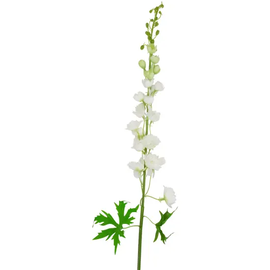 Northlight Real Touch&trade; White Delphinium Artificial Floral Stems, Set of 6 - 40" {4}