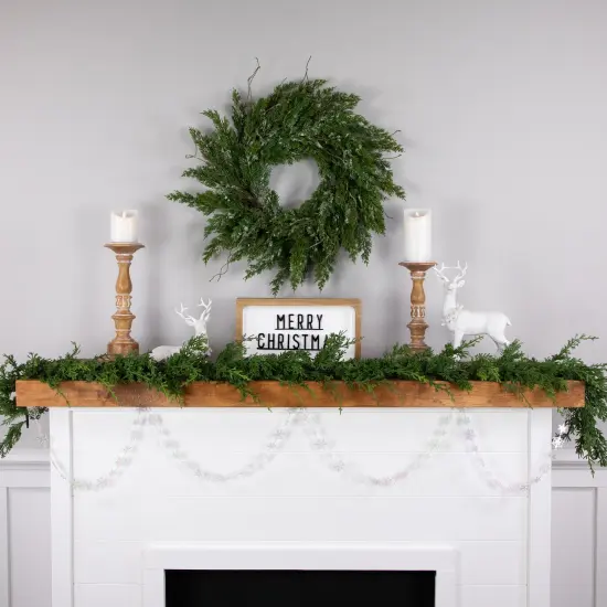 Northlight Snowflakes Christmas Garland - 8' x 1" - Iridescent - Unlit Clear {5}