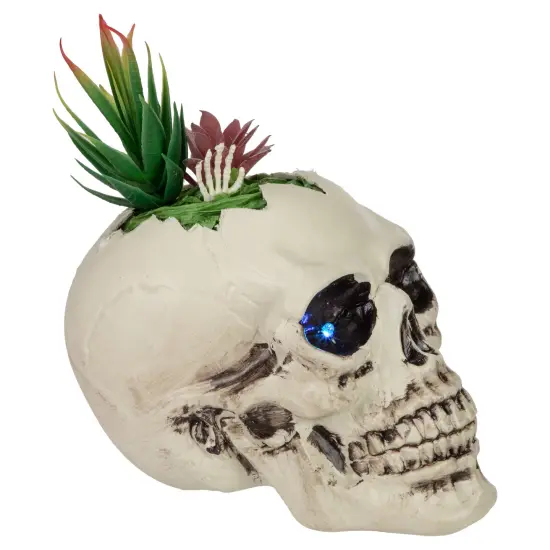 Northlight LED Lighted Succulent Skull Planter Artificial Halloween Decoration - 8.75" White {5}