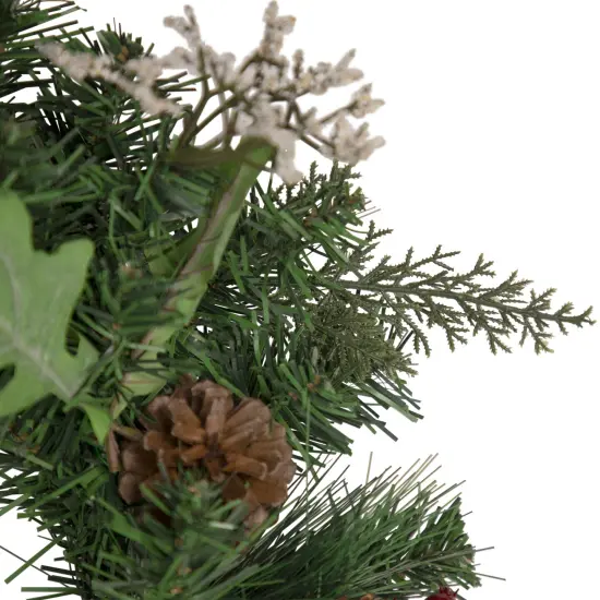Northlight Decorated Natural Pine and Berry Artificial Christmas Wreath, 24-Inch, Unlit Green {4}