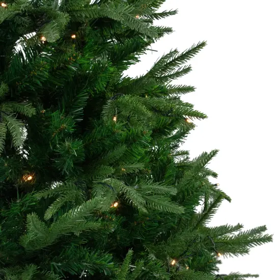 Northlight 7.5' Pre-Lit Full Silverthorne Fir Artificial Christmas Tree - Clear Lights Green {5}