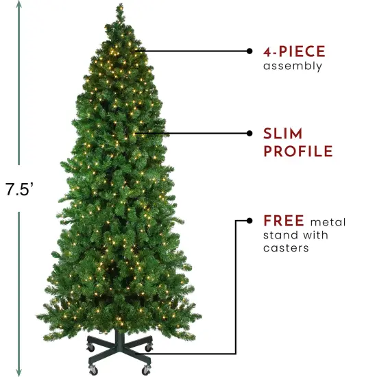 Northlight 7.5' Pre-Lit Slim Olympia Pine Artificial Christmas Tree - Warm White Lights Green {6}