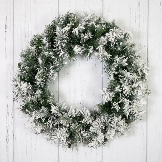 Northlight Flocked Pine Artificial Christmas Wreath - 24" - Unlit White {5}
