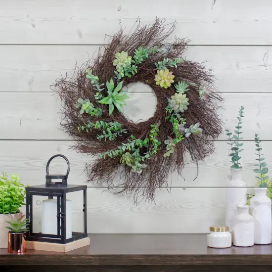 Northlight Eucalyptus and Succulents Artificial Twig Wreath - 22-Inch Green {3}
