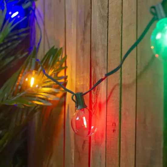 Northlight LED G50 Globe Christmas String Lights - Multi Color - 10" Green Wire - 10ct {1}