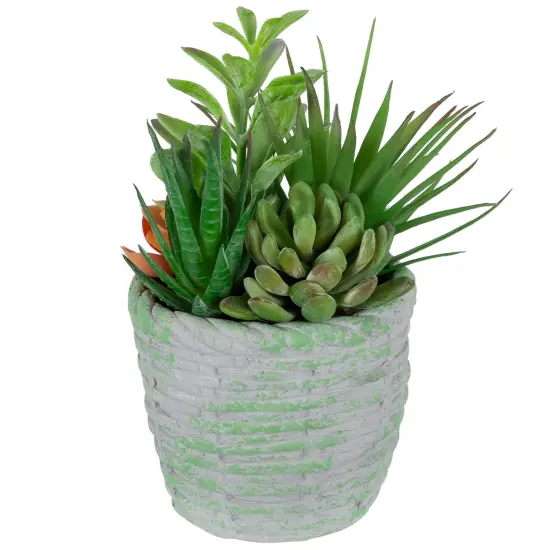 Northlight Potted Artificial Mixed Succelents Decoration - 8.5" - Green {5}