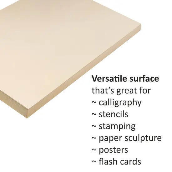 Medium Weight Tagboard, Manila, 9" x 12", 100 Sheets Per Pack, 3 Packs {2}