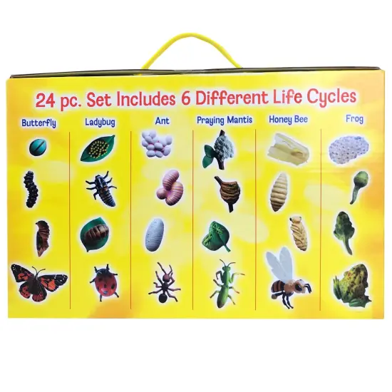 Life Cycle Figurines Set, 24 Pieces {4}