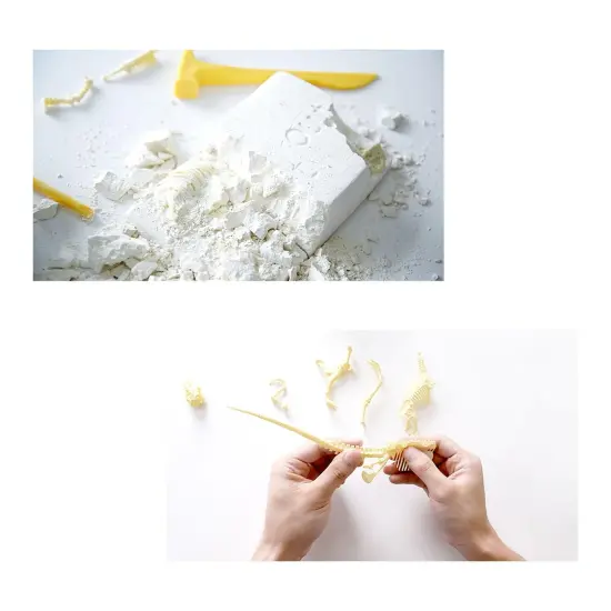 Paleo Hunter&trade; Dig Kit for STEAM Education - Velociraptor Rex {2}