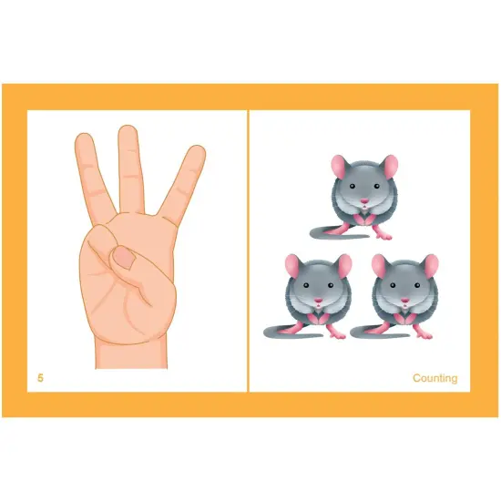 Same but Different Cards, Grades K-2 {2}