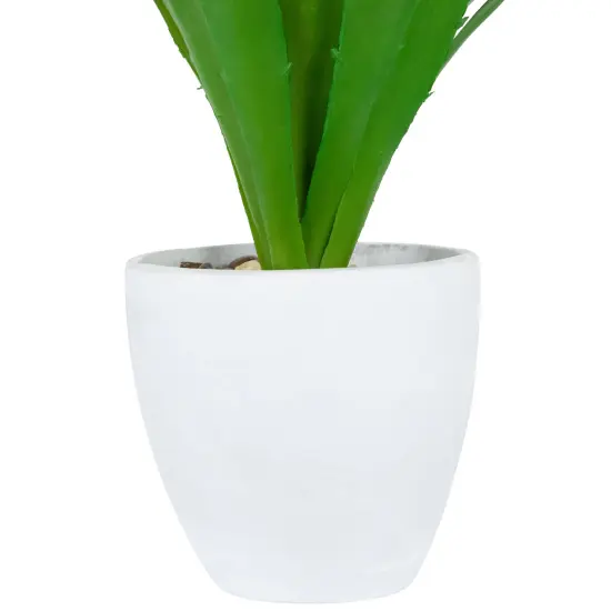 Northlight Potted Artificial Agave Succulent Plant - 13.5" Green {6}