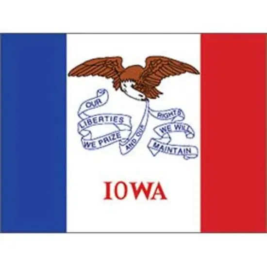 Iowa Flag On A Stick 12" x 18" {1}
