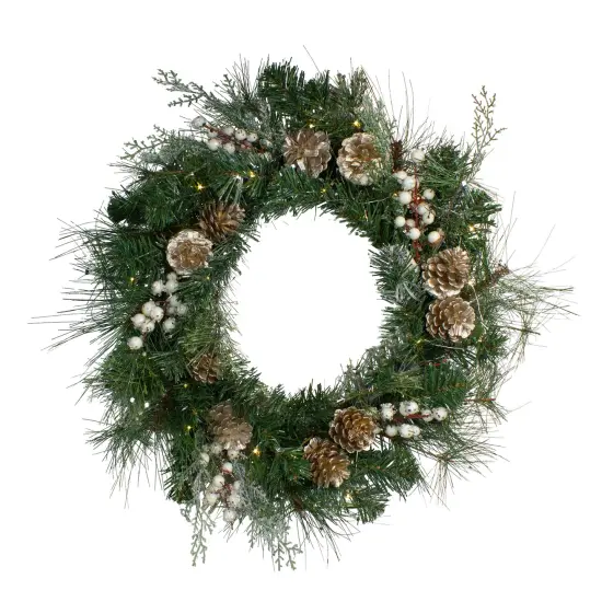 Northlight Pre-Lit Mixed Pine, Berry and Pine Cone Christmas Wreath - 22" - Clear LED Lights Gold {1}
