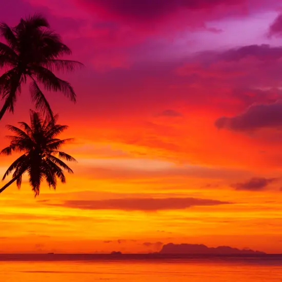 Fiji Sunshine Fragrance Oil (Our Version of the Brand Name) (1 oz Bottle) for Candle Making, Soap Making, Tart Making, Room Sprays, Lotions, Car Fresheners, Slime, Bath Bombs, Warmers&hellip; {2}