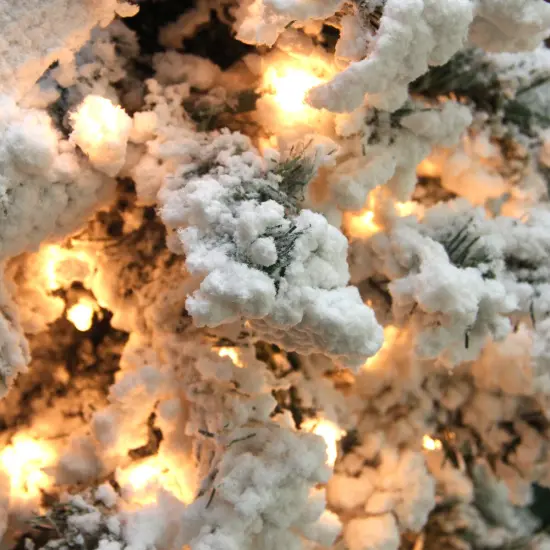 Northlight 6.5' Pre-Lit Flocked Pine Medium Artificial Christmas Tree - Clear Lights White {4}