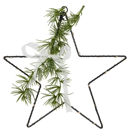 Northlight LED Lighted Star with Rosemary Sprig Christmas Decoration - 11" - Warm White Black {1}