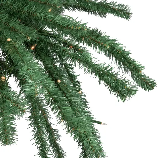 Northlight 6' Pre-Lit Artificial Tropical Outdoor Patio Palm Tree - Clear Lights Green {6}