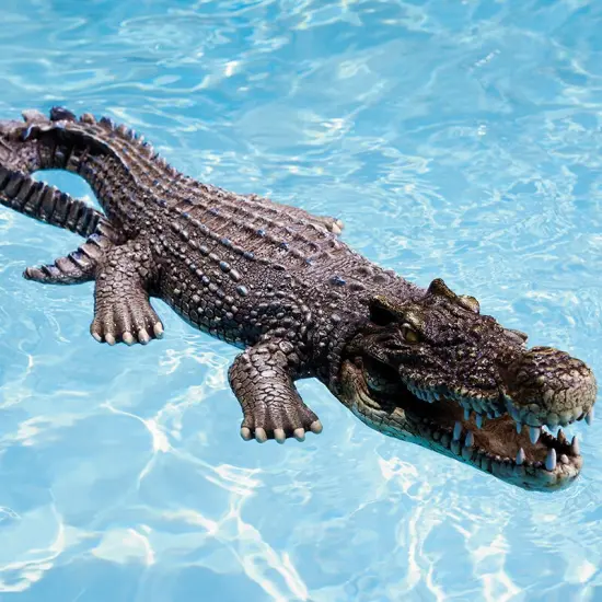 Swim Central 30" Large Crocodile Floating Pool, Spa or Patio Decorative Reptile Figure Brown {3}