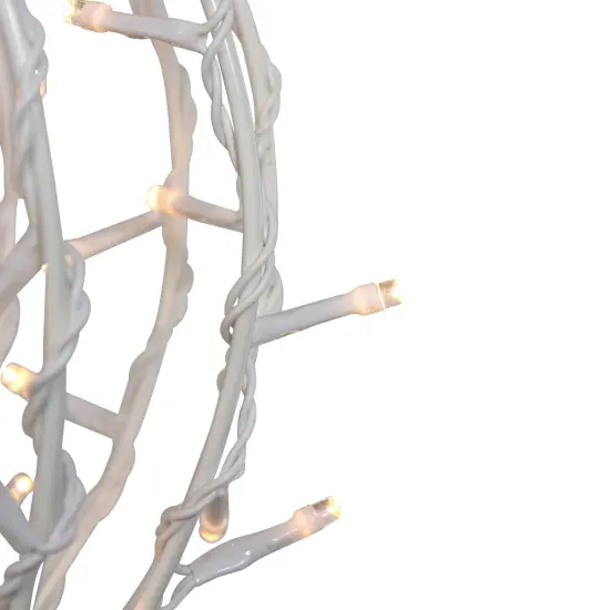 Northlight 30" LED Lighted 3D Christmas Hanging Ball Decoration &ndash; Warm White Lights {3}