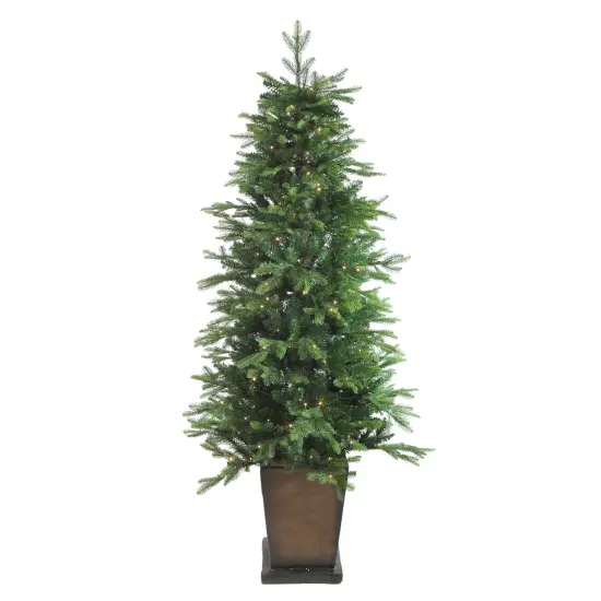 Northlight Real Touch™️Pre-Lit Slim Oregon Noble Fir Artificial Potted Christmas Tree - 6' - Warm Clear LED Green {3}