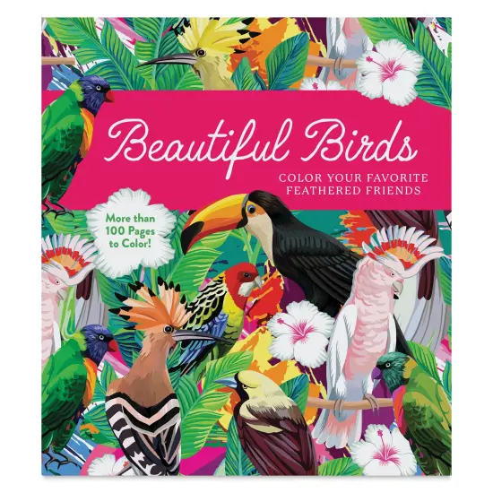 Beautiful Birds Coloring Book {1}