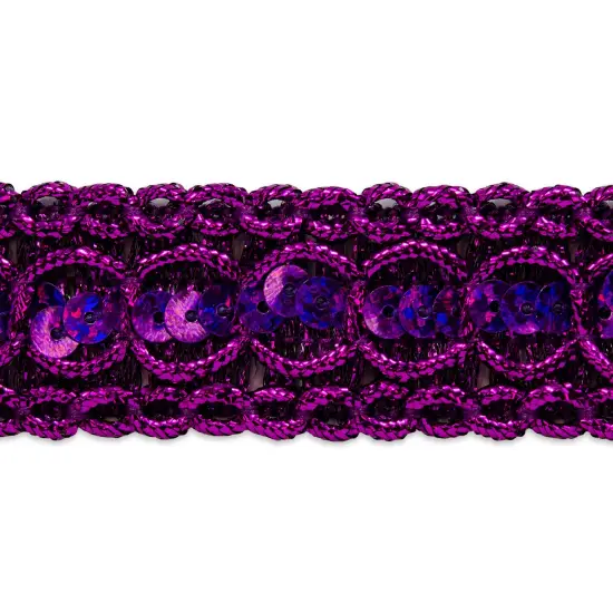 20 yards of Trish Sequin Metallic Braid Trim | 20 yard cut Purple {1}