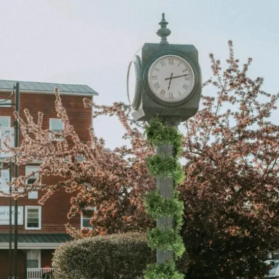 2-Pack: 9ft Boxwood Garland with 385 Tips {3}