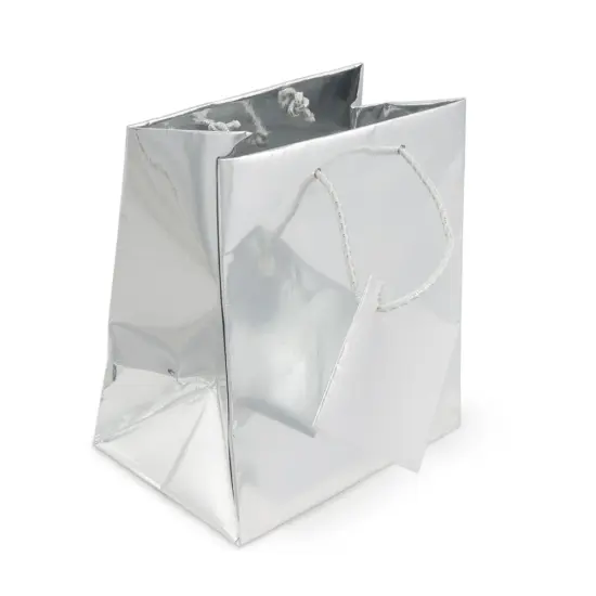 Gift Bag Small Metallic Silver (Package of 20) {1}
